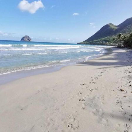 Villa Coquillage A 50 Metres De La Plage 르 디아망 외부 사진