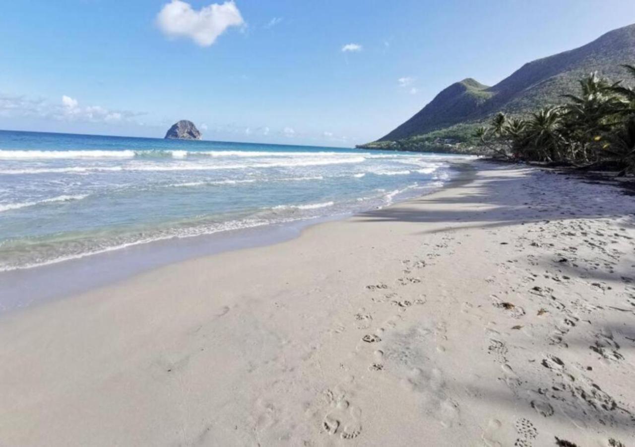 Villa Coquillage A 50 Metres De La Plage 르 디아망 외부 사진